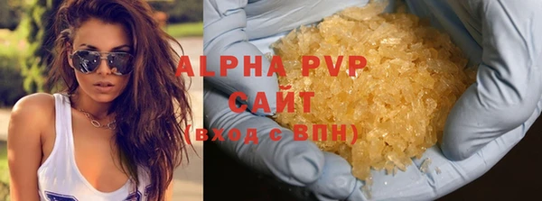 МДПВ Бородино
