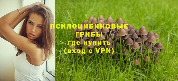 тгк Бугульма