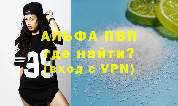 МДПВ Бородино