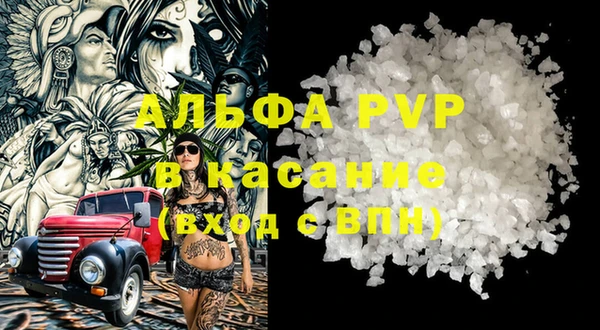 МДПВ Бородино