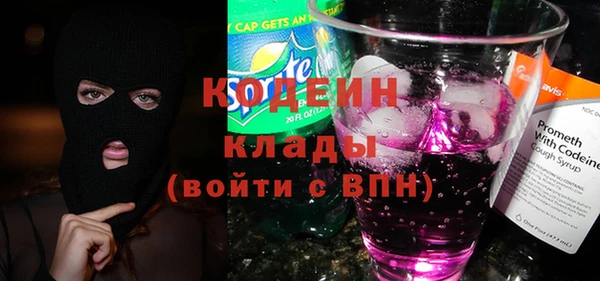 МДПВ Бородино