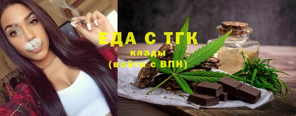 МДПВ Бородино