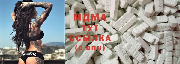 МДПВ Бородино