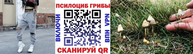 Галлюциногенные грибы Magic Shrooms  Кириши 